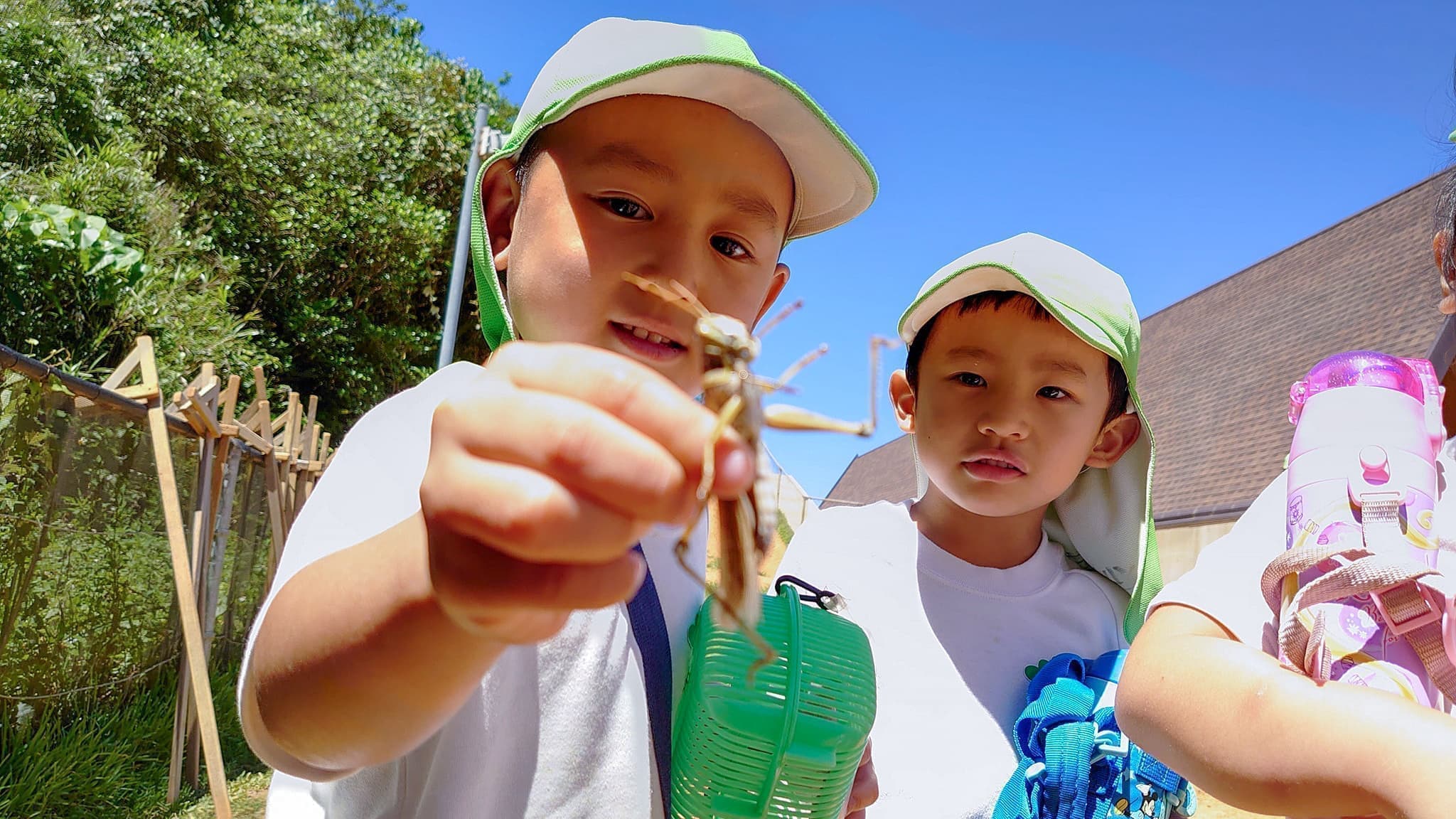 園庭で虫を捕まえる子ども達