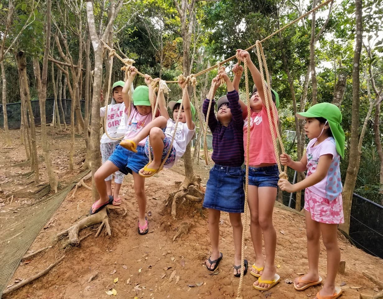 木登りをする子ども達